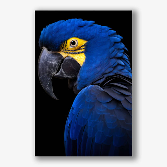 Close-up van blauwe papegaai tegen zwarte achtergrond