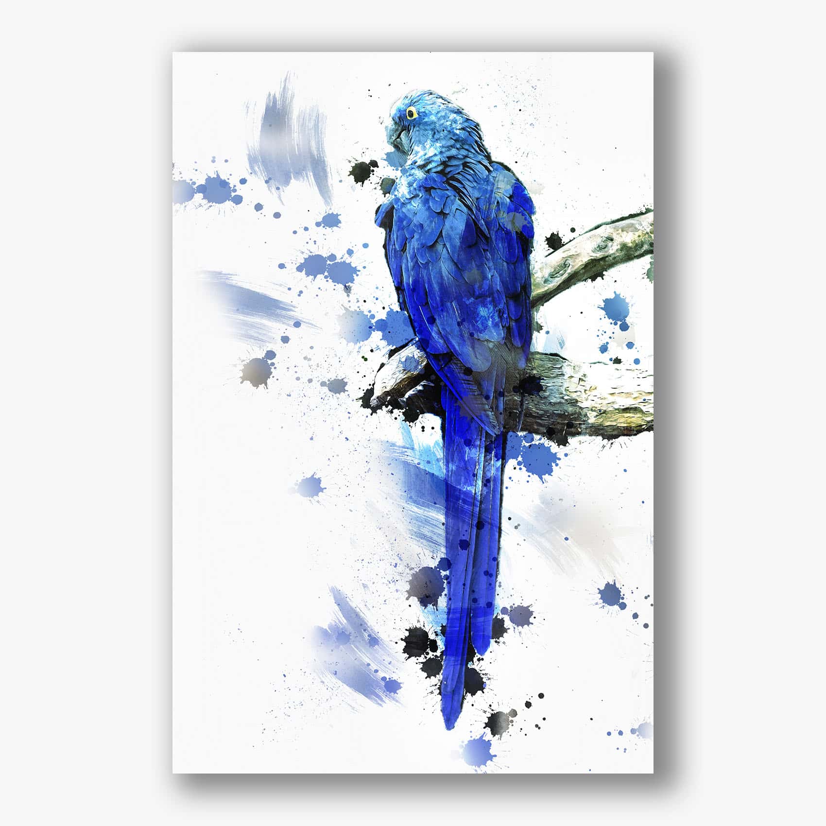 Schilderij blauwe papegaai op tak met verfspatten