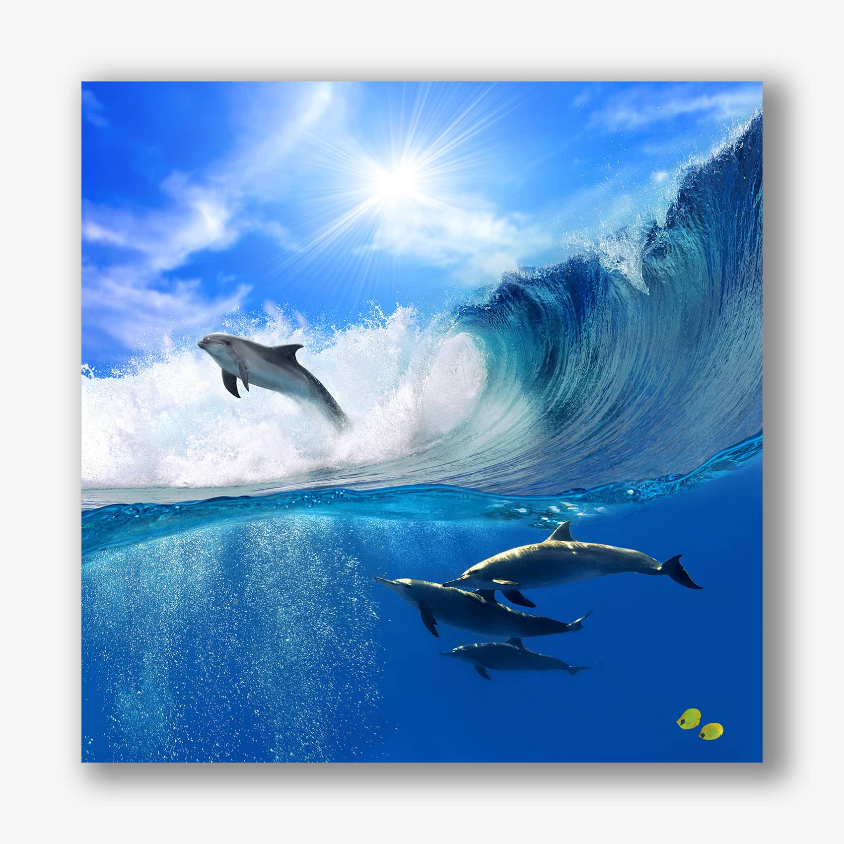 Wanddecoratie met dolfijnen die springen en zwemmen in helderblauw oceaanwater