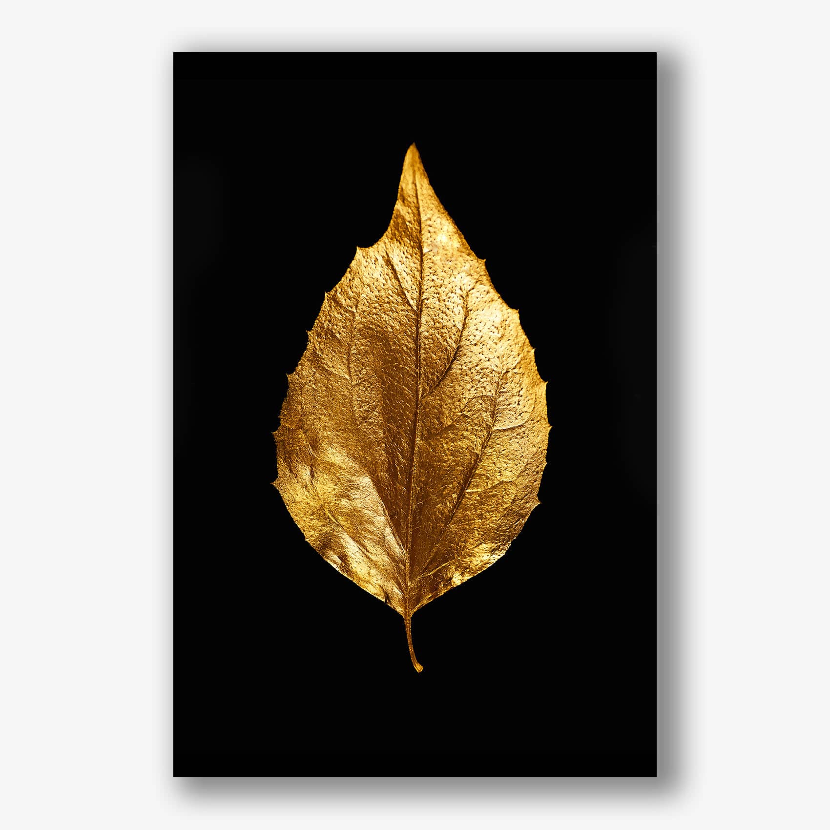 Gouden blad op zwarte achtergrond als luxe canvas schilderij