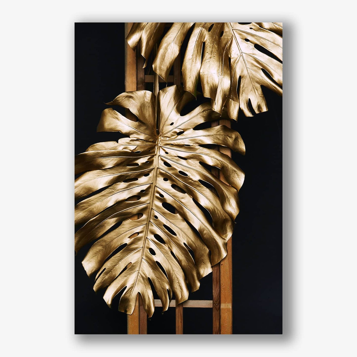 Gouden monstera bladeren als luxe schilderij tegen zwarte achtergrond