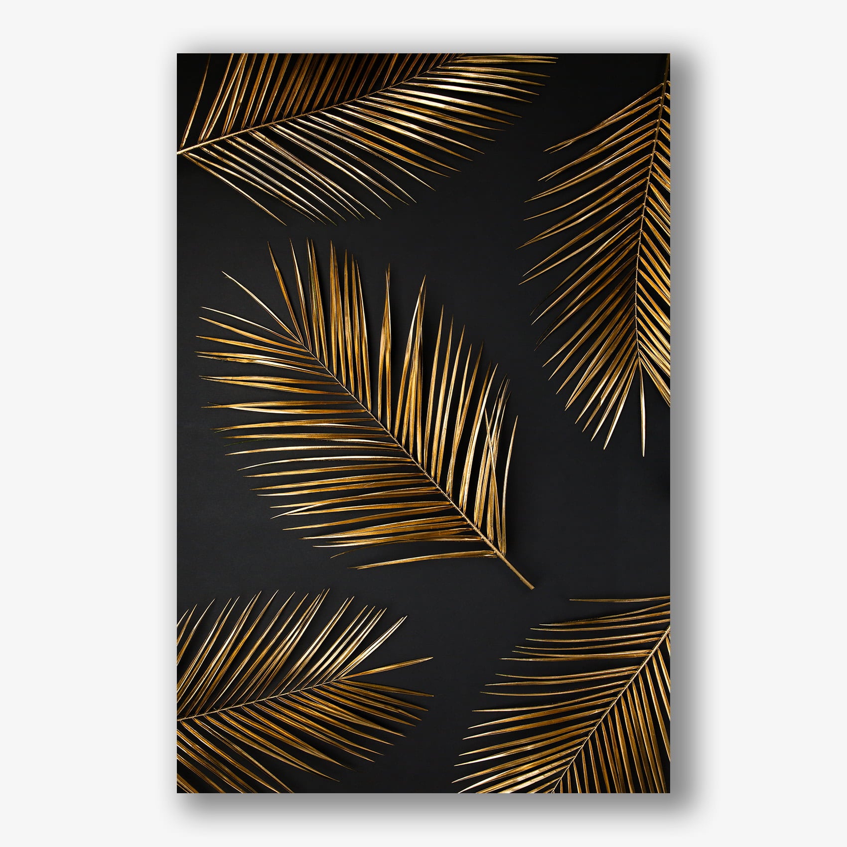 Gouden palmbladeren op zwart als wanddecoratie gedrukt op dibond.
