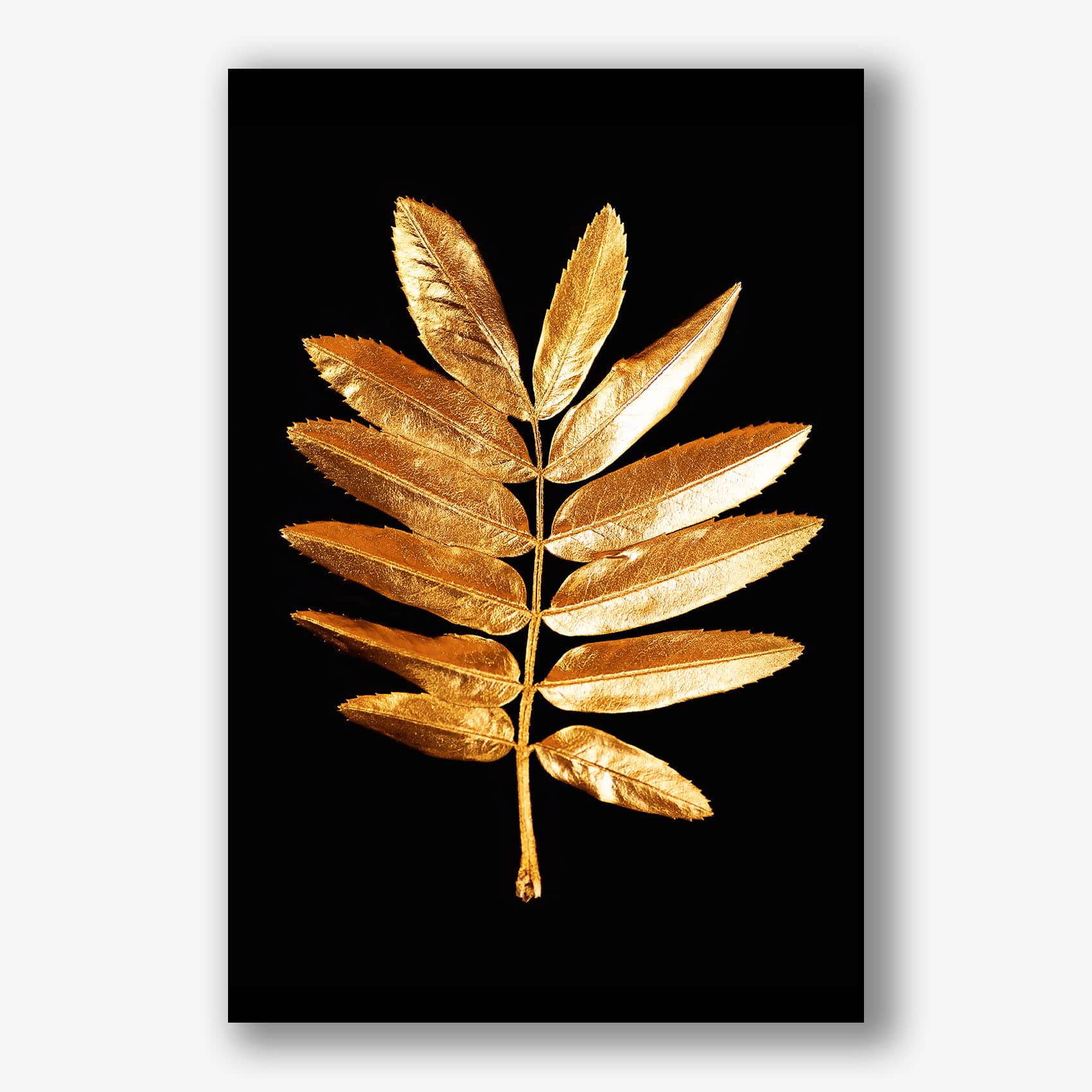 Gouden varenblad als luxe canvas schilderij op zwarte achtergrond