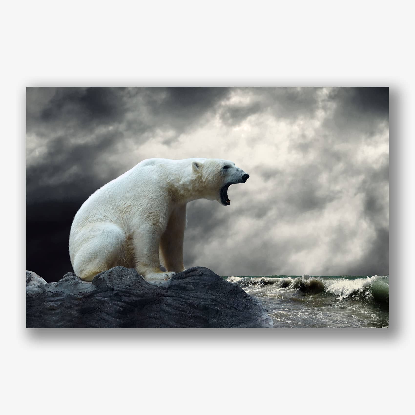 Witte ijsbeer zittend op donkere rotsen aan een stormachtige zee 