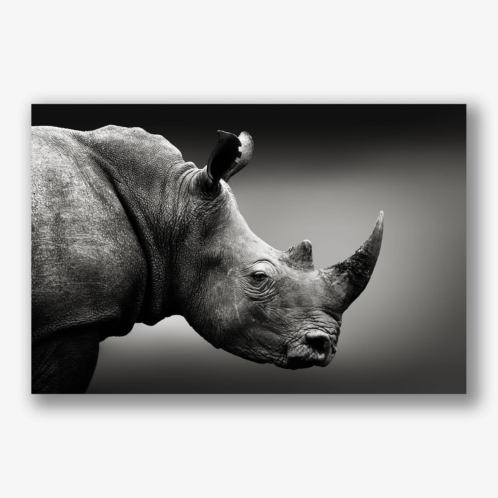 Detailfoto van zwart wit neushoorn schilderij op plexiglas voor muurdecoratie.