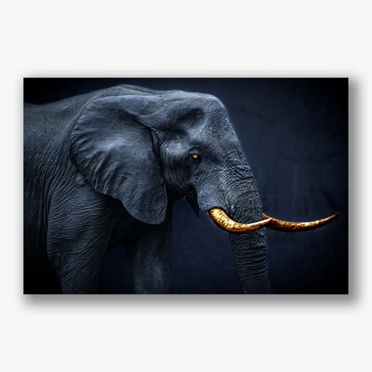 Donkere olifant met gouden slagtanden en een diepblauwe achtergrond 
