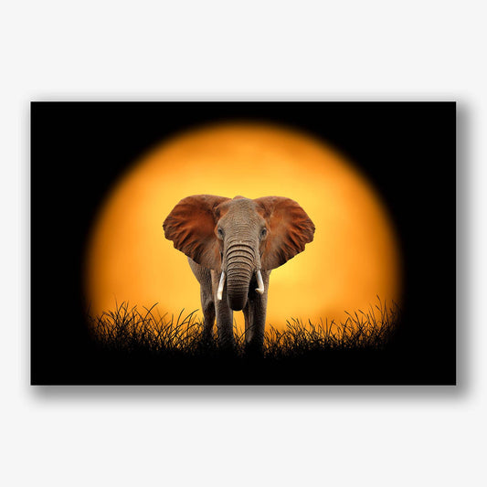 Schilderij van een olifant bij zonsondergang 