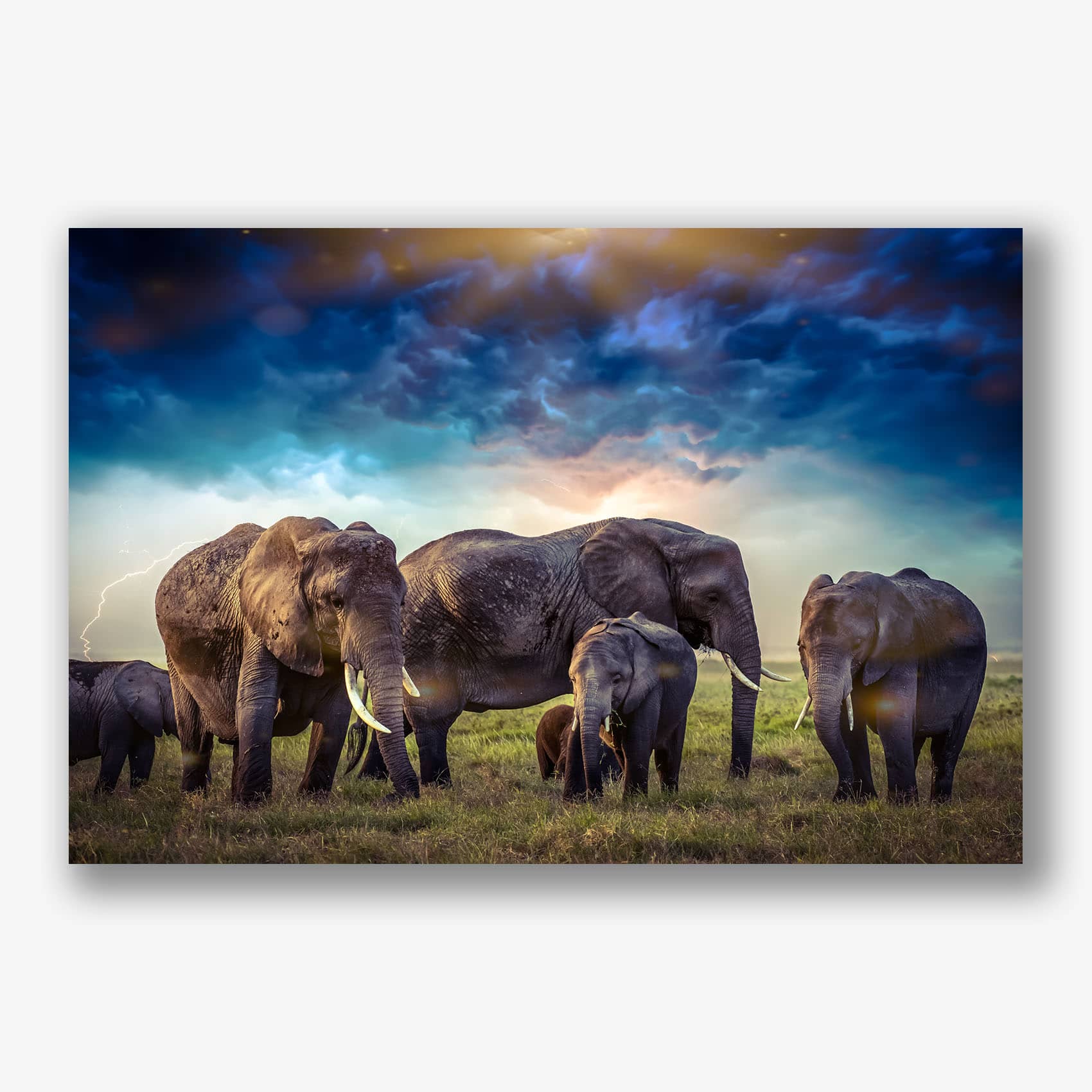 Kleurrijke foto van familie olifanten onder een dramatische stormlucht als wanddecoratie