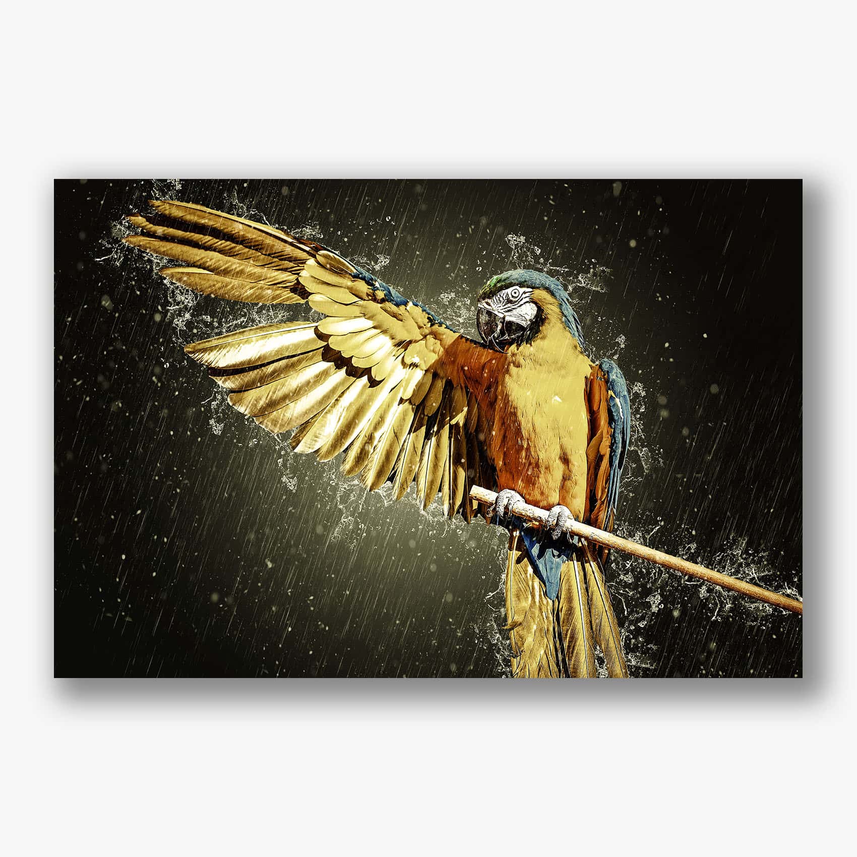 Opvallende wanddecoratie van een kleurrijke papegaai met gespreide vleugels