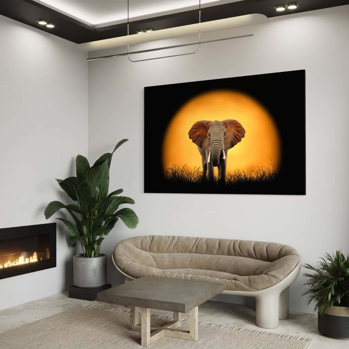plexiglas schilderij van een olifant in een wonkamer