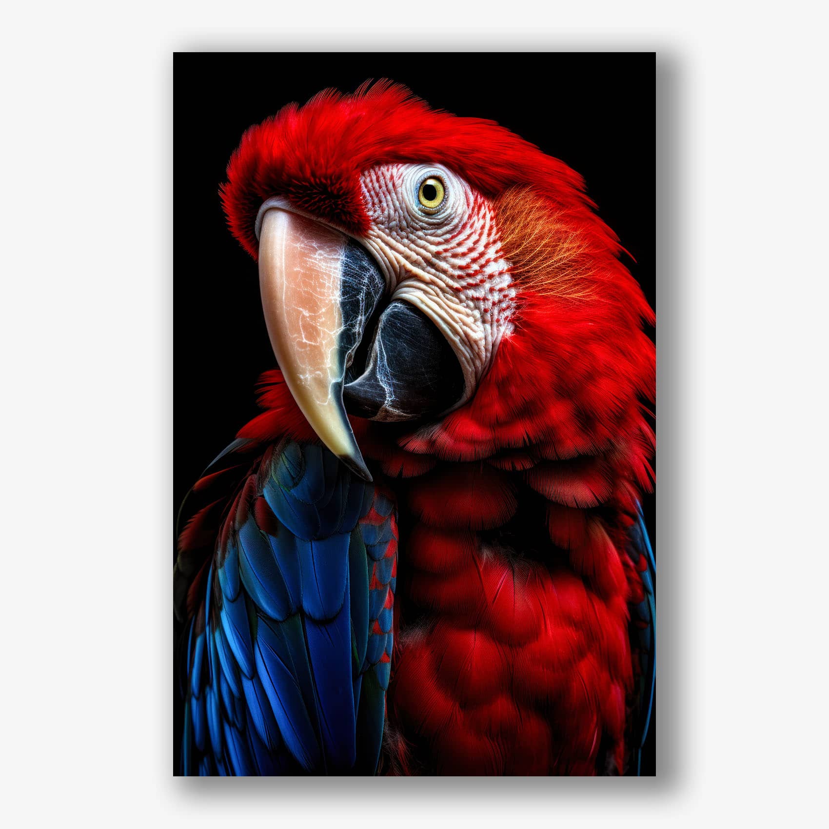 Rode papegaai prachtig vastgelegd, perfect als kleurrijke muurdecoratie.