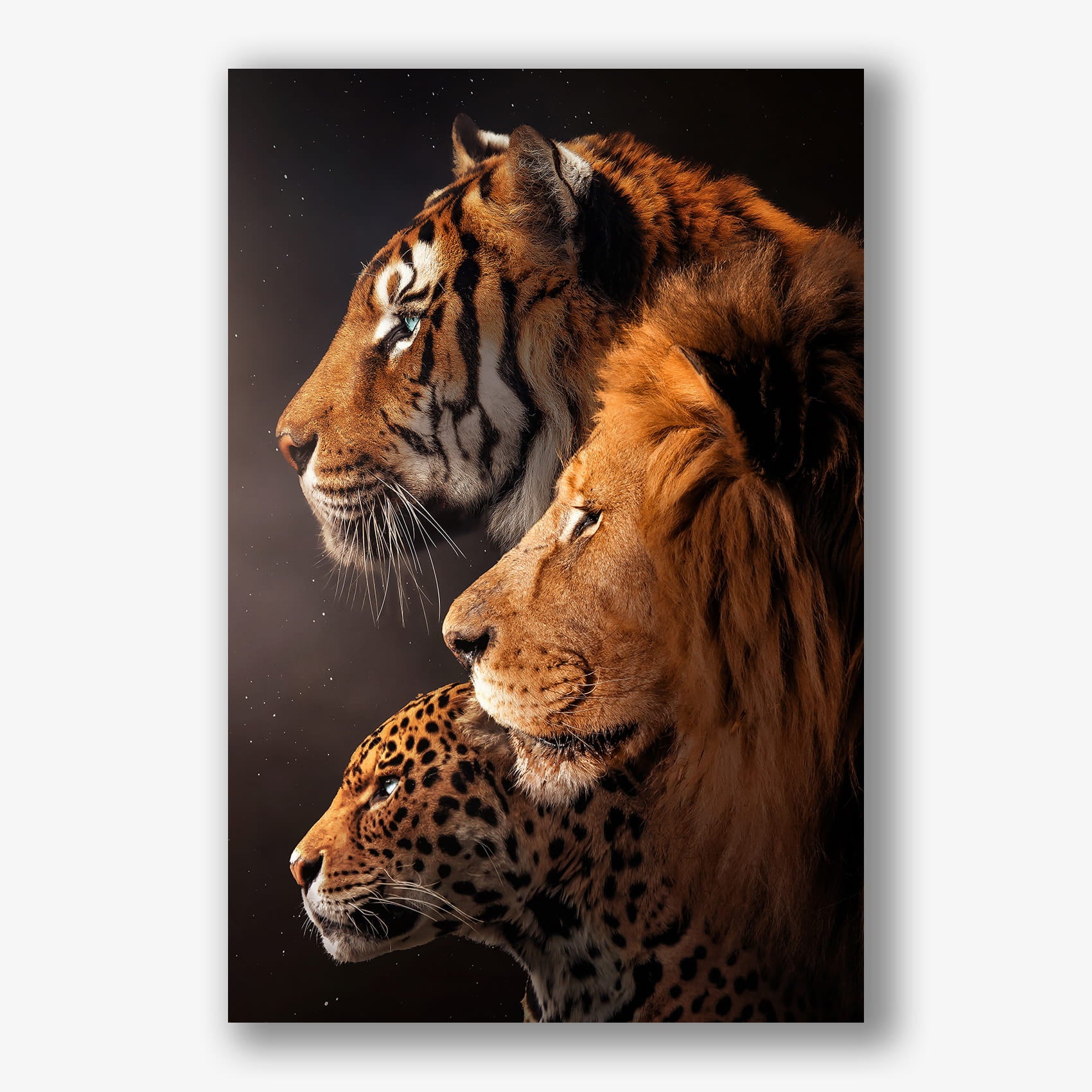 Schilderij met tijger, leeuw en luipaard als krachtige muurdecoratie.